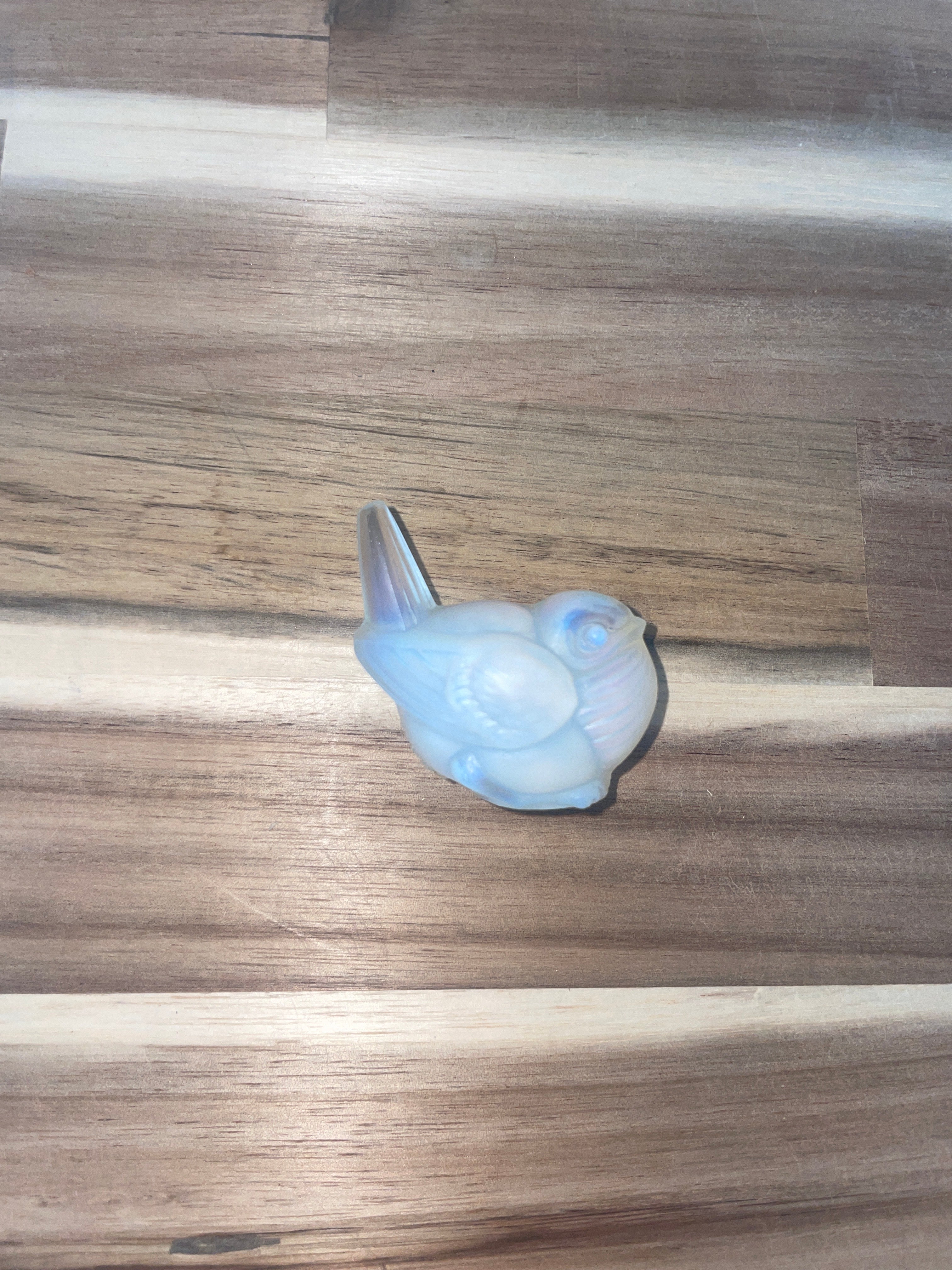 Sabino - Bird